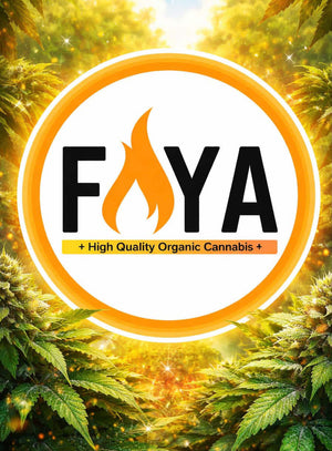 Faya